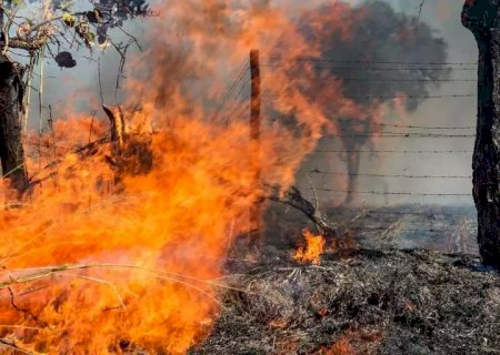Incêndio consome vegetação e fumaça se espalha pela BR-080