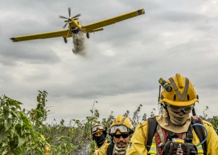 Incêndio no Pantanal consumiu R$ 204,8 milhões entre prejuízos e ações de combate