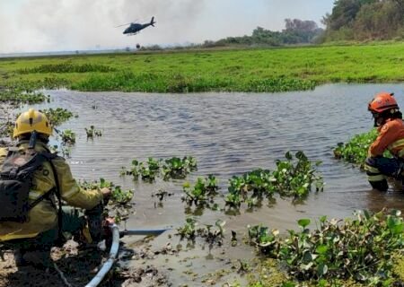 Serra do Amolar, Porto da Manga e Rabicho concentram esforços dos Bombeiros no Pantanal