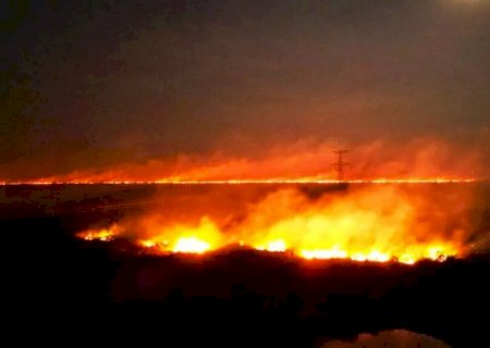MS lidera ranking de queimadas no Brasil enquanto Pantanal enfrenta pior seca em 70 anos