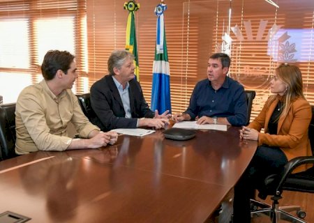 Novo momento: Governo define economista Cristiane Schmidt na presidência da MSGÁS