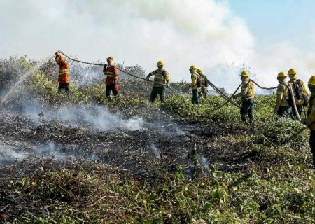 Para evitar que mais fogo chegue a MS, combatentes ajudam Mato Grosso