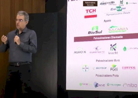 Reforma de canaviais sem revolvimento de solo resulta em produtividade maior