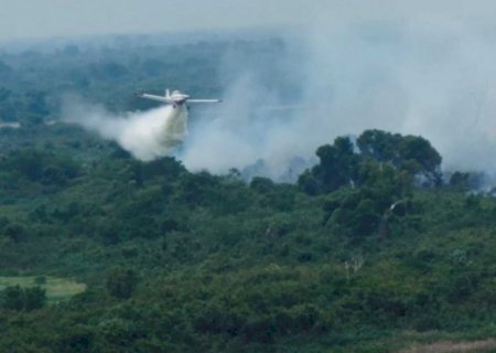 Fogo volta a atingir Pantanal mesmo após as chuvas