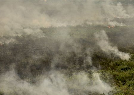 Rondônia declara situação de emergência por incêndios florestais