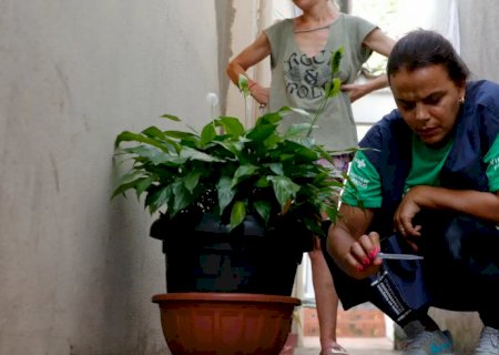 Brasil se aproxima de 5 mil mortes por dengue em 2024