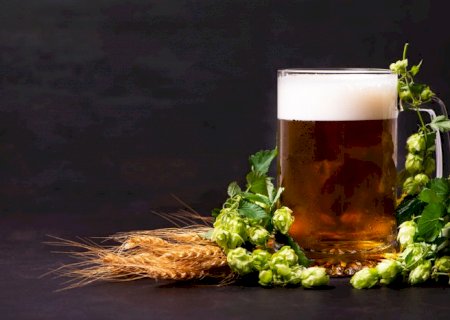 No primeiro semestre deste ano, Brasil exportou 42% a mais o valor de cerveja