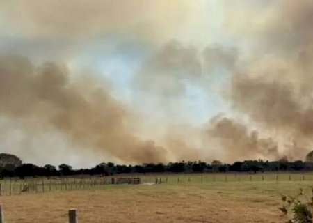 Cr&eacute;dito de R$ 300 milh&otilde;es poder&aacute; ser liberado aos afetados pelo fogo e seca