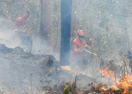 Bioma tem oito focos ativos mesmo após semana de frio e chuva em MS