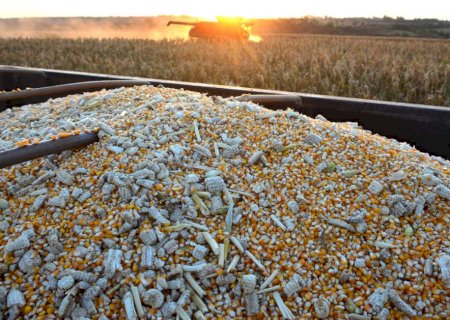 Agricultura de MS rende R$ 13,5 bilhões a menos que no ano passado