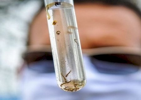 MS tem 14 mortes suspeitas por dengue sendo investigadas