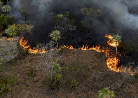 Fogo que começou em caminhão segue se espalhando no Pantanal