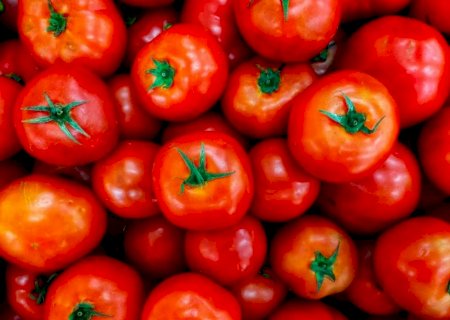 Apesar da seca, produção de tomate cresce 18% em São Paulo