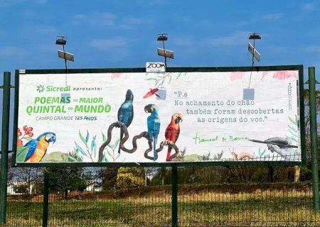 Sicredi celebra os 125 anos de Campo Grande com versos de Manoel de Barros espalhados pela cidade