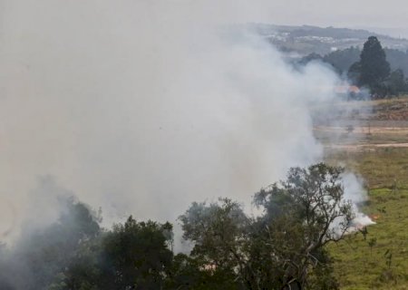 Cinco municípios paulistas estão com foco de incêndio ativo