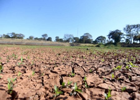Confira a previsão do tempo para este sábado em algumas regiões de Mato Grosso do Sul