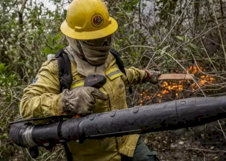 Após queima de 1,76 milhão de hectares, Ibama dobra brigadistas em MS
