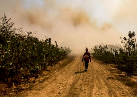 Incêndios já consumiram quase 2 milhões de hectares no Pantanal de MS