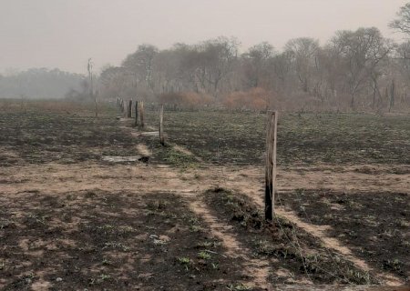 Programa SuperAção Pantanal é lançado para ajudar produtores pantaneiros na recuperação após incêndios
