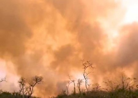 Incêndios florestais devastam o Chaco paraguaio e mobilizam autoridades