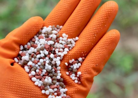 Mato Grosso do Sul registra queda de 24,5% nas importações de fertilizantes no primeiro semestre de 2024