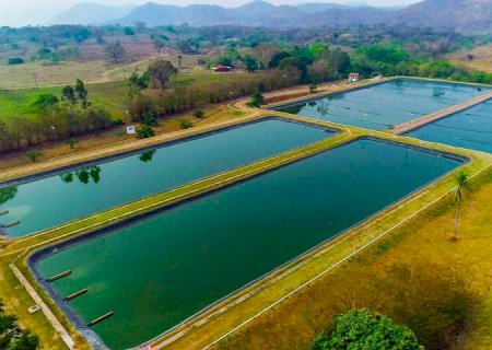 Sanesul preserva recursos naturais tratando 130 milhões de litros de esgoto por dia em MS