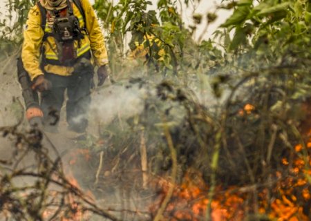 Brasil já registou mais de 154 mil focos de calor este ano
