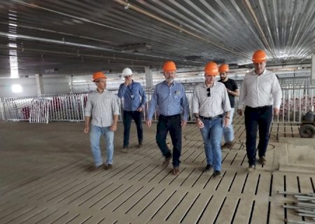 Alto nível de biosseguridade animal credencia MS a abrigar projeto de genética suína para o Centro-Oeste