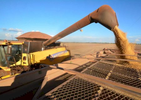 Mesmo com desafios climáticos, MS projeta nova supersafra de soja