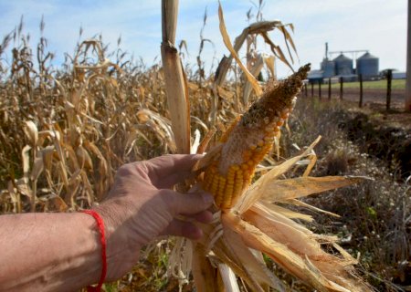 Reforma tributária deve prejudicar arrendamentos do agro no Estado