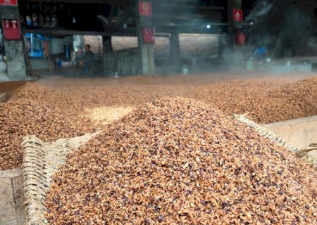 Brasil celebra abertura de mercado no Marrocos para exportação de grãos secos de destilação