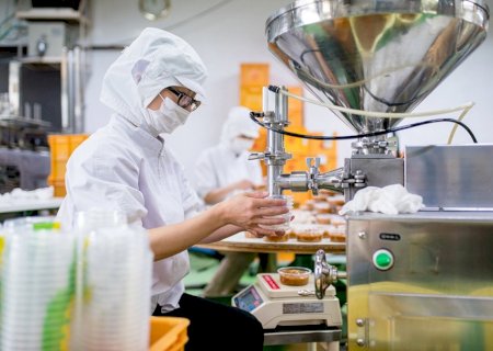 Produção industrial de MS apresentou estabilidade ou crescimento em 74% das empresas em setembro