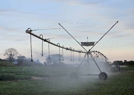 MS cria primeiro polo de agricultura irrigada e inclui 26 munic&iacute;pios
