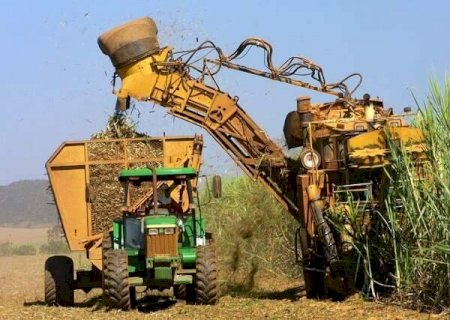 Seca derrubou em 52,8% a moagem da cana-de-açúcar no Centro-Sul