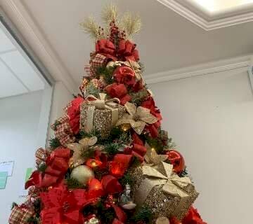 Para não “queimar” clima natalino, confira como evitar acidentes com decoração