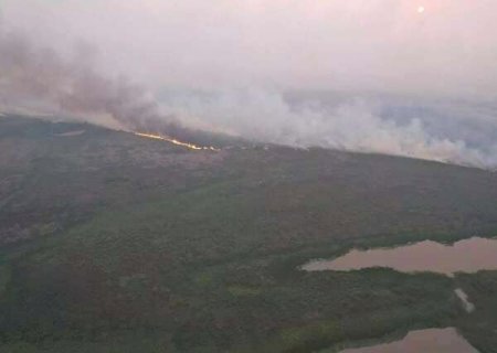 Municípios aderem a programa piloto e descarbonização tem 'marco inicial'