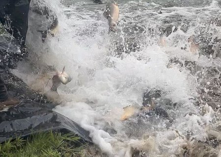 Pesca nos parques de Dourados está proibida devido a Piracema