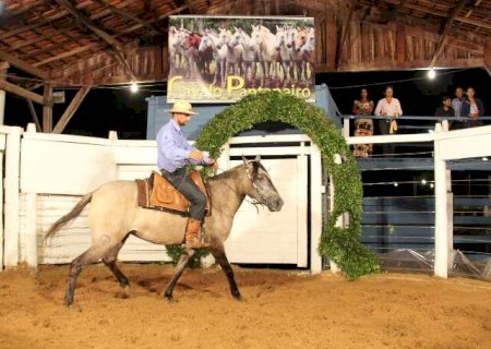 Feira Agropecu&aacute;ria do Pantanal ter&aacute; primeiro shopping do cavalo pantaneiro