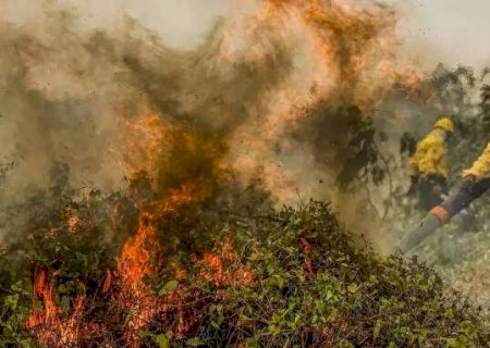Pesquisa aponta queda na umidade do Pantanal e maior risco de incêndios em 2025