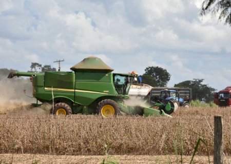 Mato Grosso do Sul registra a 2ª maior safra de soja da história>