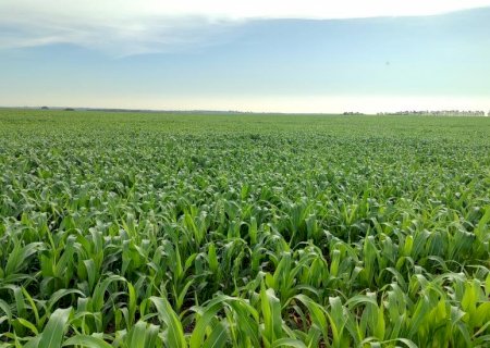Alerta meteorológico pede atenção aos agricultores do Estado>