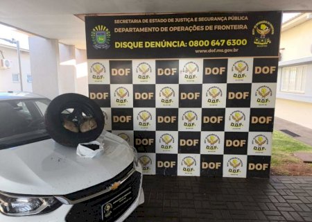 Homem é preso em Dourados com skunk dentro de pneu de carro>