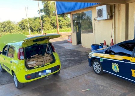 PRF apreende 404 Kg de maconha em Nova Alvorada do Sul (MS)