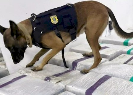 Motorista de Dourados é preso no Rio transportando três toneladas de maconha em caminhão frigorífico