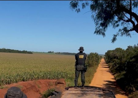 DOF apreende mais de 42 mil pacotes de cigarros contrabandeados em carreta