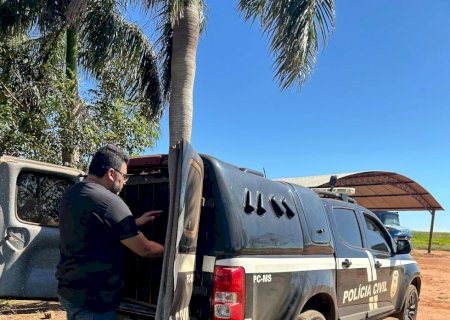 Polícia Civil de Caarapó prende acusado de agredir e ameaçar a esposa>