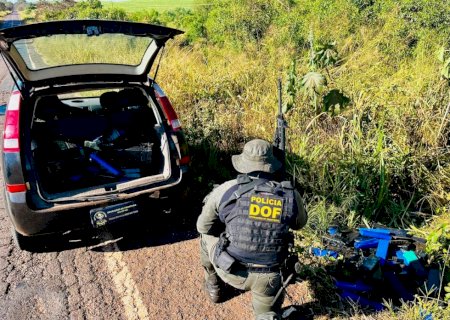 DOF apreende mais de 200 quilos de droga em meio a mata em Ivinhema