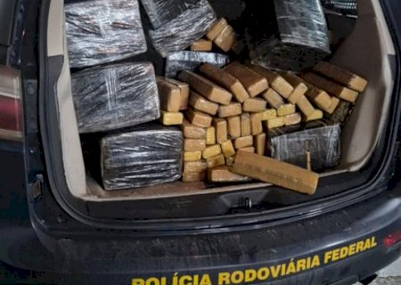 Motorista foge e capotar veículo com quase 700 quilos de maconha>