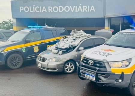 Dupla corre para matagal, mas acaba presa com 66,5 kg de skunk em Bataguassu