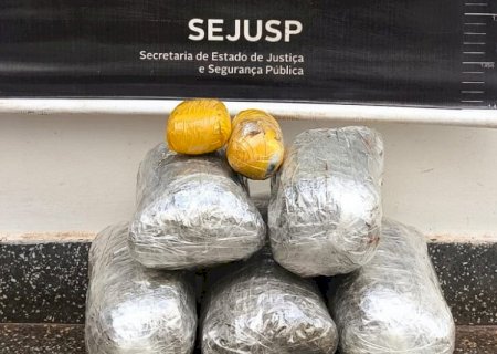 Homem que seguia com droga em ônibus para Caarapó é preso pelo DOF>